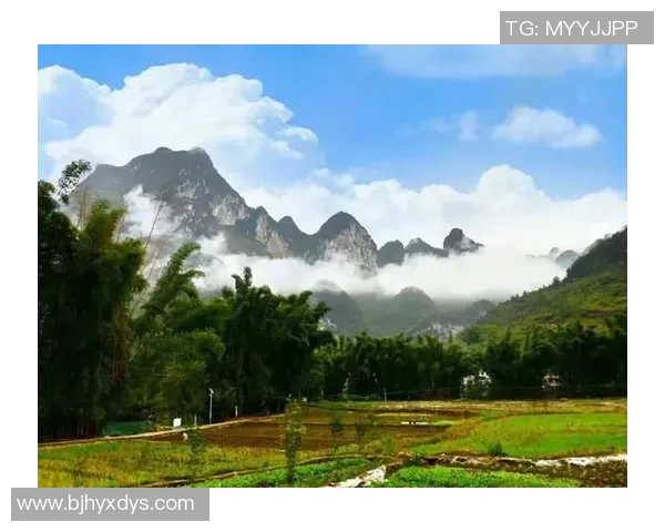 小黑子化身足球明星的奇幻之旅与梦想追逐