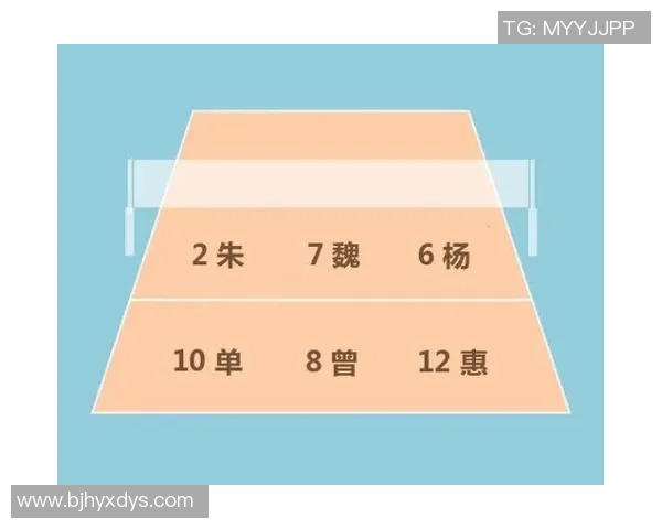 重庆排球队反击战术解析与实战应用探讨 重庆排球队反击战术解析与实战应用探讨