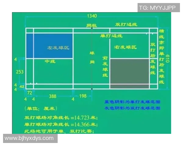 广州羽毛球队在世锦赛中的灵活性表现与战术分析